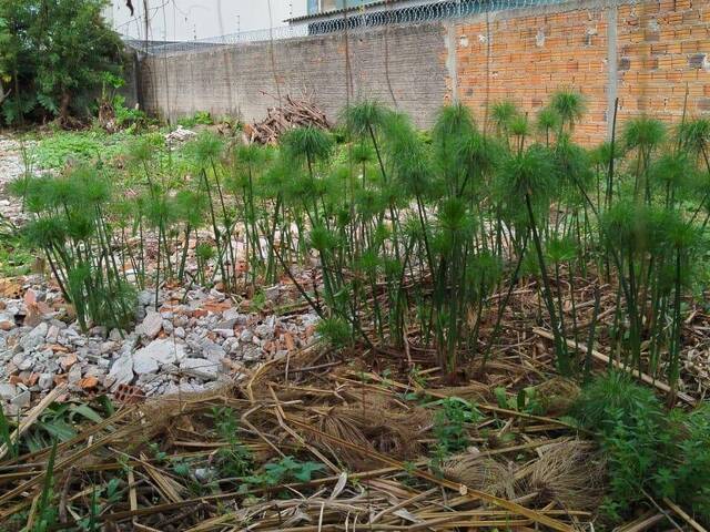 #411 - Terreno para Venda em Santo André - SP
