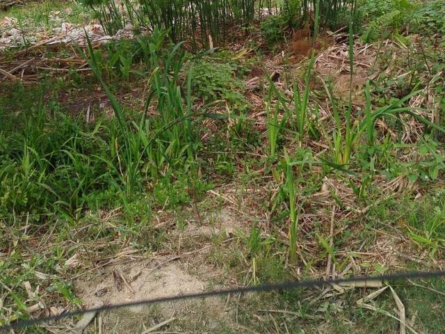 #411 - Terreno para Venda em Santo André - SP - 2